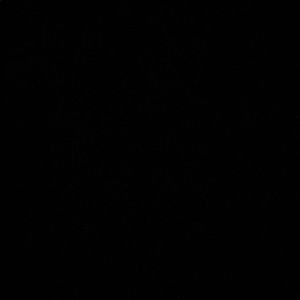 Meet your Posher, Kaylee